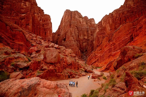 Nature Exploration — Discovering the Wonders of the Natural World